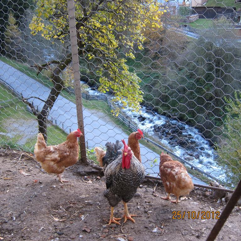 Farm stay Lexhof Sellrain