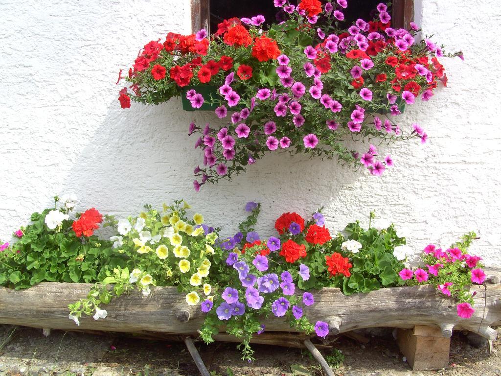 Vakantieboerderij Lexhof *